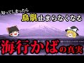【99%の人が知らない○○の国歌】日本人なら知っておきたい鎮魂歌の歴史【ゆっくり解説】