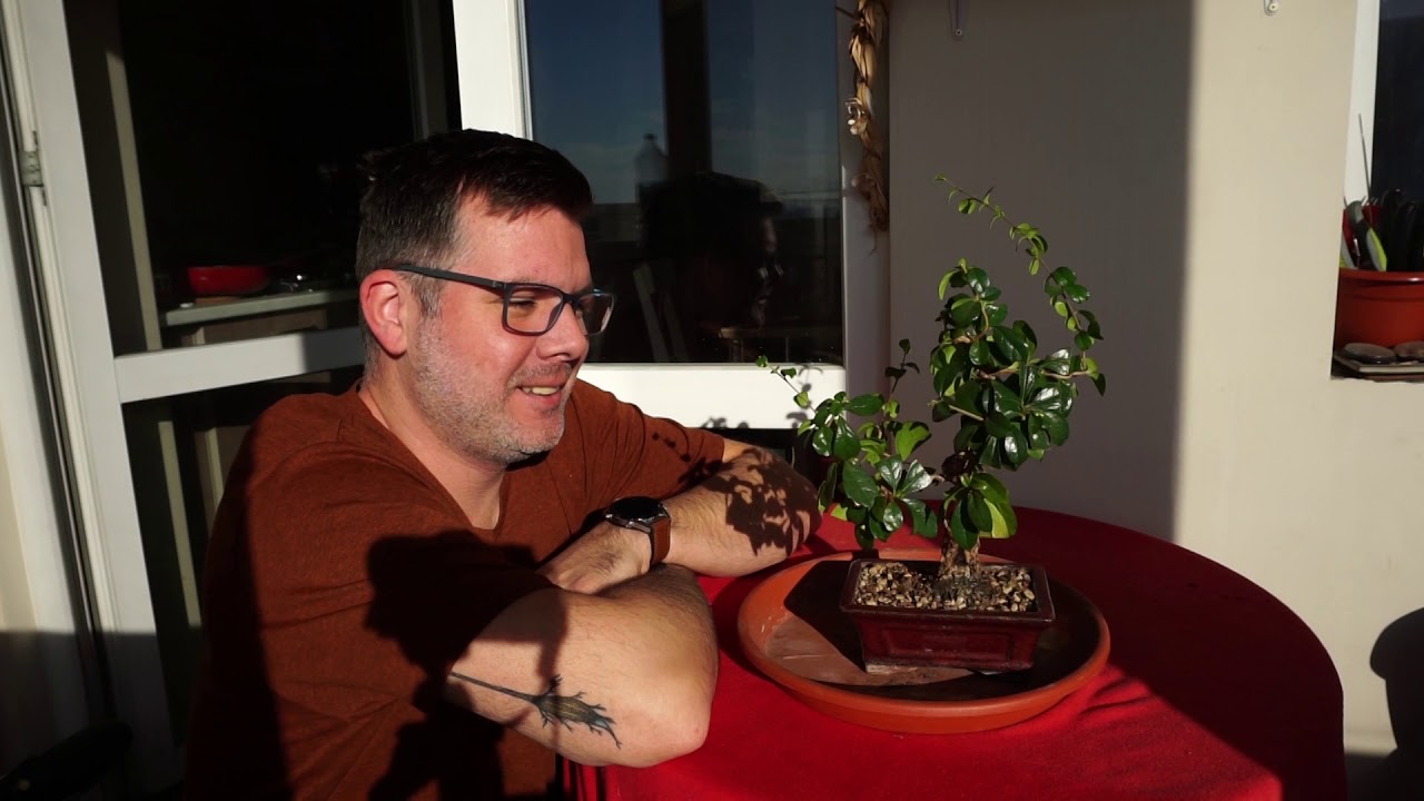 Cum udam un bonsai, de ce, si cu ce | How to #3 - 2019