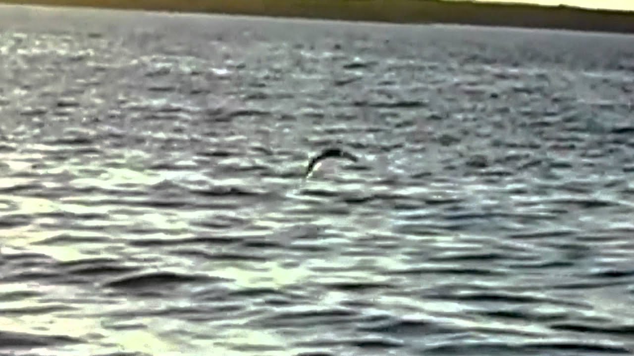 Aleks Nika - Ju kujtojmë në ç'do Ditëlindje 2014 Full HD