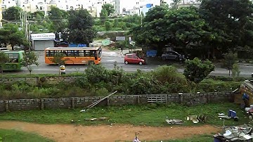 My first drone crash ... stuck on a tree!