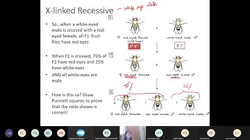 Chap 16 (Part 3a) Sex-Linked Genes (1/3) | Cambridge A-Level 9700 Biology