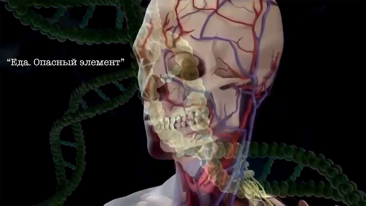 Еда. Опасный элемент. Фильм Аркадия Мамонтова