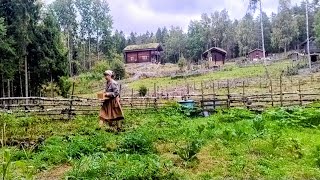 Rosehips, Grapes, and such an exciting Potato Harvest | Everyday life on Our Farm in Norway