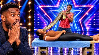 She Pulled Out a Giant Python from Her Mouth! The Judge Couldn’t Believe His Eyes! 🐍🤯
