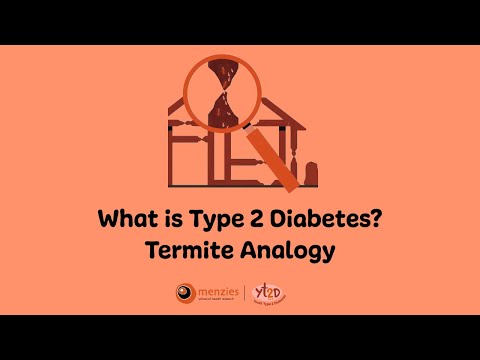 What is Diabetes? Termite Analogy