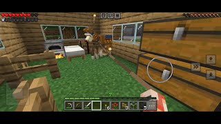 Minecraft - Played with My Pets