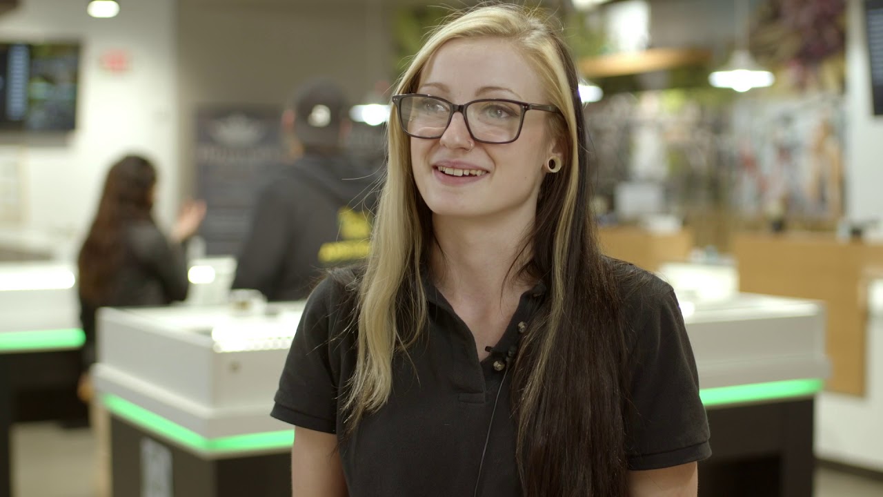 DISPENSARY TOUR! AMSTERDAM PREMIUM CANNABIS COMPANY - BATTLE CREEK, MICHIGAN