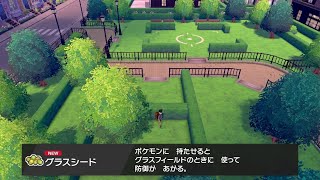 ポケモン剣盾攻略 グラスシードを入手する方法と場所 ポケットモンスターソードシールド ファンキキ Youtube ポケモン剣盾攻略 グラスシードを入手する方法と場所 ポケットモンスターソードシールド ファンキキ Youtube