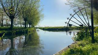Relaxing nature sounds | Birds, cows & water in Dutch spring countryside