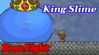 Terraria 1.4.3 King Slime Boss Fight Journey Master Mode