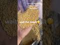Manufacturing of 100% Pure Yellow Mustard Oil in Meerut #mustardoil #trending #viral #reels #explore