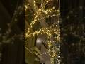 #christmas #2025 #2025shorts #music #winter #december2025 #shorts #shortsviral #youtubeshorts #view