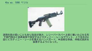 Kbs wz. 1996 ベリル
