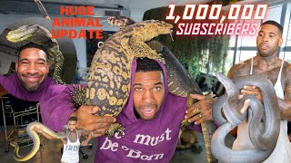 WILL THESE LIZARDS FIGHT ON TOP OF MY HEAD ? FEEDING ALL THE ANIMALS  | THE REAL TARZANN