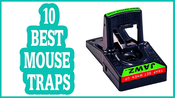 BEST MOUSE TRAPS 2017? TOP 10 LIST
