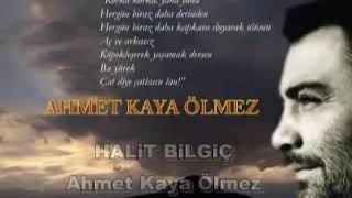 Ahmet Kaya ölmez Resimi