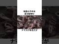 災害の予兆に関する雑学 地震 災害の予兆に関する雑学 地震