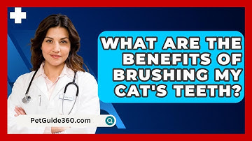 What Are The Benefits Of Brushing My Cat