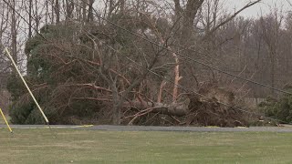 6 News at Noon 4/2/2025