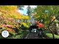 鎌倉Vlog 北鎌倉ランチ｜こころや｜VERVE COFFEE ROASTERS｜ 2020年11月1日 KAMAKURA DIARY Vlog #36