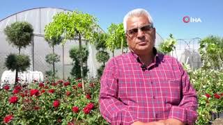 ANFA’dan çiçek üreticilerine destek