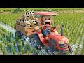 Baby Monkey Drives a Tractor to Harvest Giant Snails