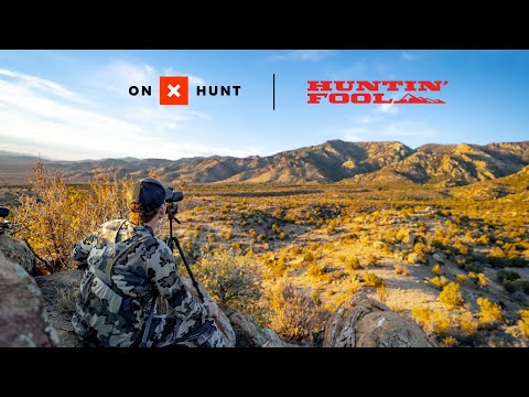 Huntin' Fool Pro Membership Breakdown | FREE with onX Hunt Elite