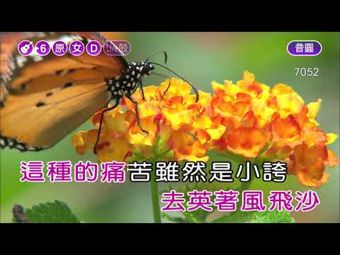 唱袂煞~白冰冰~女原調~伴奏~導唱丙