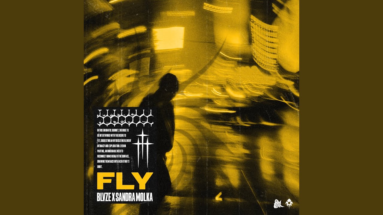 FLY adlı videoyu YouTube'da izle FLY adlı videoyu YouTube'da izle