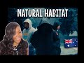 ONEFOUR - Natural Habitat (Official Music Video) | UK REACTION!🇬🇧