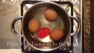 Egg timer