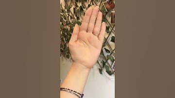 Handy guide to Portion size