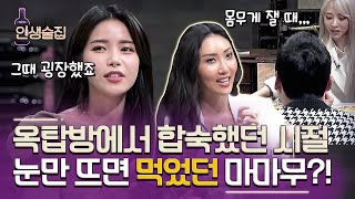 [#인생술집] 건강이 위협이 될 정도(!!!)로 먹었던 마마무의 옥탑방 합숙 시절썰ㅣtvN 190314 방송