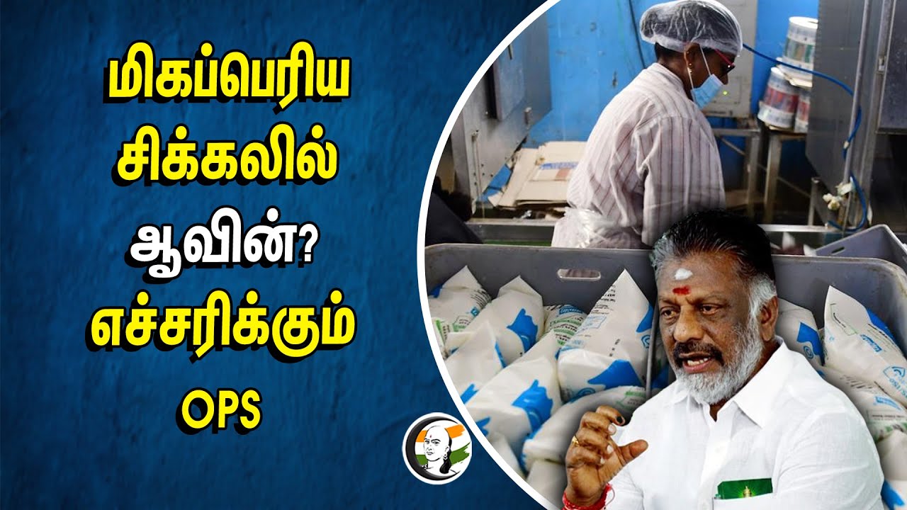 மிகப்பெரிய சிக்கலில் Aavin? எச்சரிக்கும் OPS | TN Government | DMK Minister Mano Thangaraj