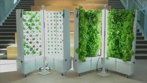 Fork Farms - Innovation through Flex Farms