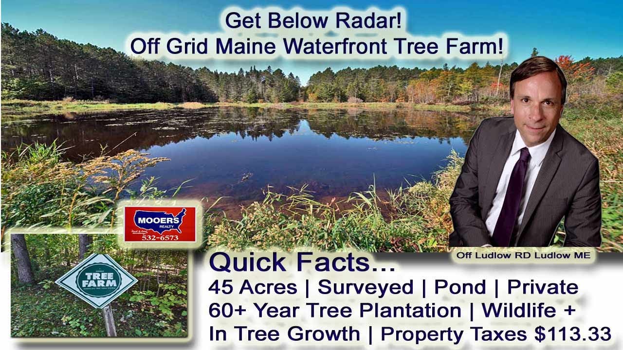Northern Maine Real Estate Tree Plantation Off Grid Land MOOERS
