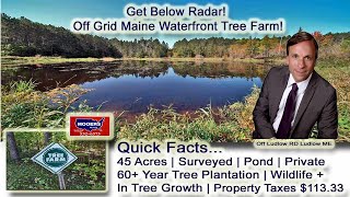 Northern Maine Real Estate Tree Plantation | Off Grid Land MOOERS REALTY