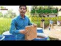 नर्सरी किस मीडिया में तैयार करें | कोको पिट कैसे इस्तेमाल करें | How to Use Coco Peat