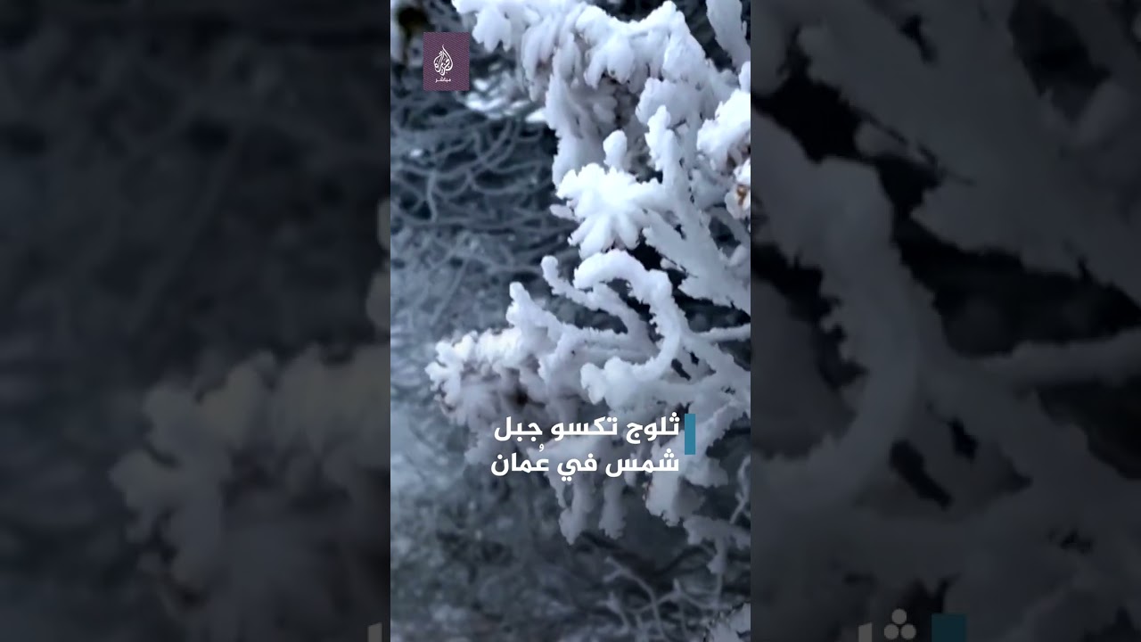 أجواء نادرة🌨.. عمانيون يستمتعون بالثلوج ❄️☃️