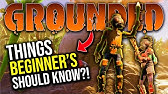 New Burgl Chip Grounded Update 3 0 The Jungle Temple Burgl Chip Youtube New Burgl Chip Grounded Update 3 0 The Jungle Temple Burgl Chip Youtube