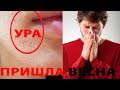 Какие опасности ждут нас этой весной!!! Первые признаки авитаминоза! Идут энцефалитные клещи!