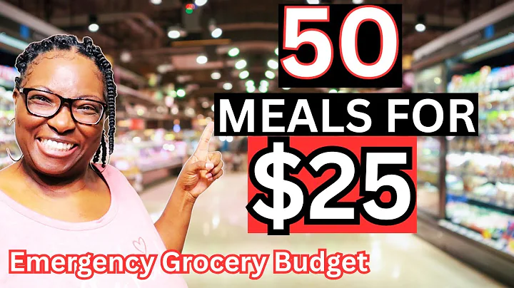 50 Meals for $25 | Budget Cooking Challenge for a Family of 5 thumbnail