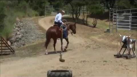 Teaching Your Horse to Drag Objects Part 2