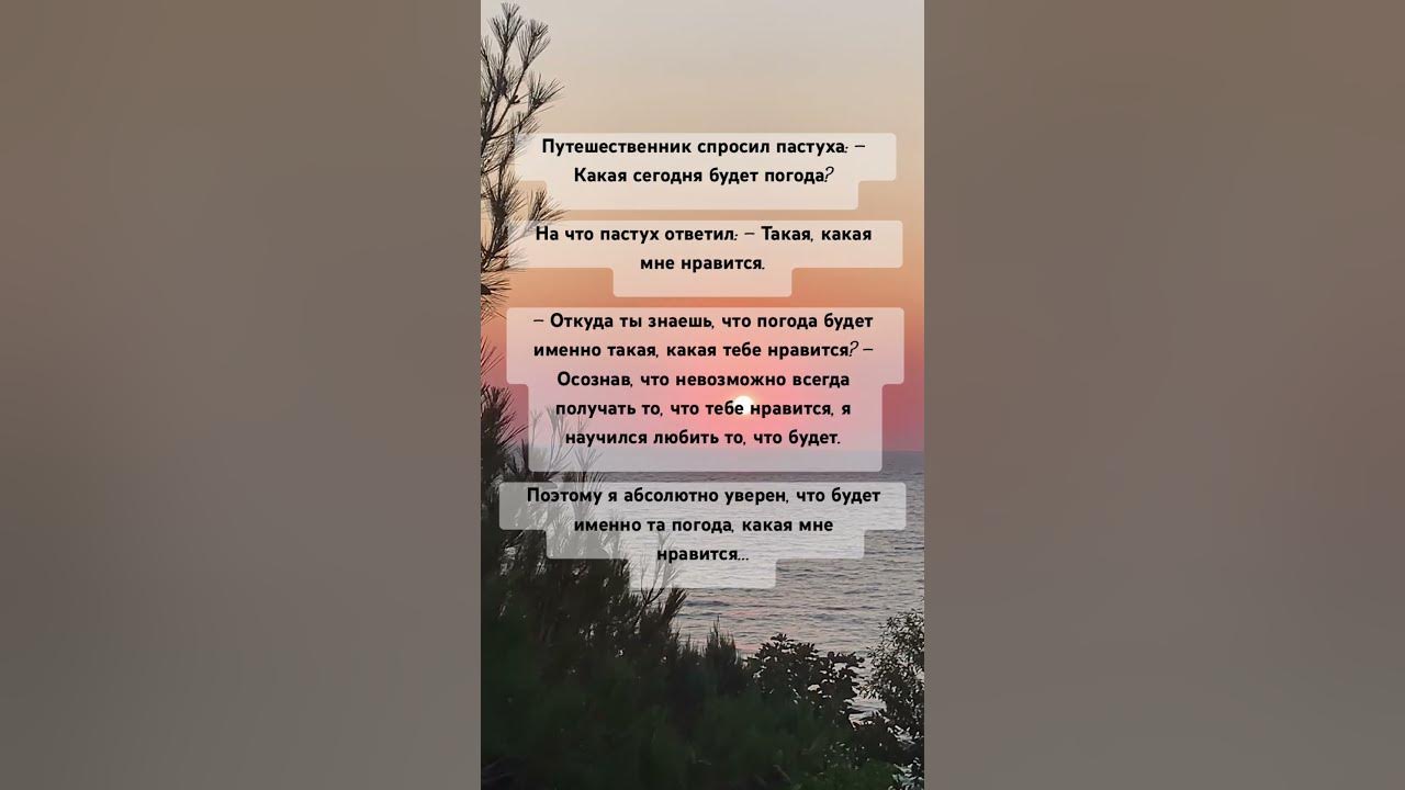 УЧИСЬ ЛЮБИТЬ ТО, ЧТО БУДЕТ #мудростьдня - YouTube