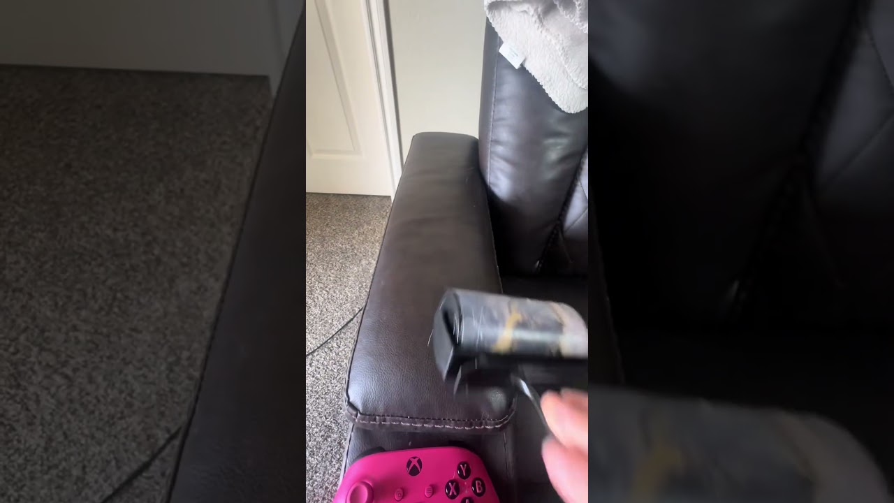 How to remove pet hair from the couch! 