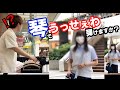 【神回】プロ琴奏者がJKに「うっせぇわ」を路上演奏でリクエストされたら...