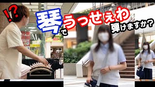 God Episode] When a professional koto player is requested by a