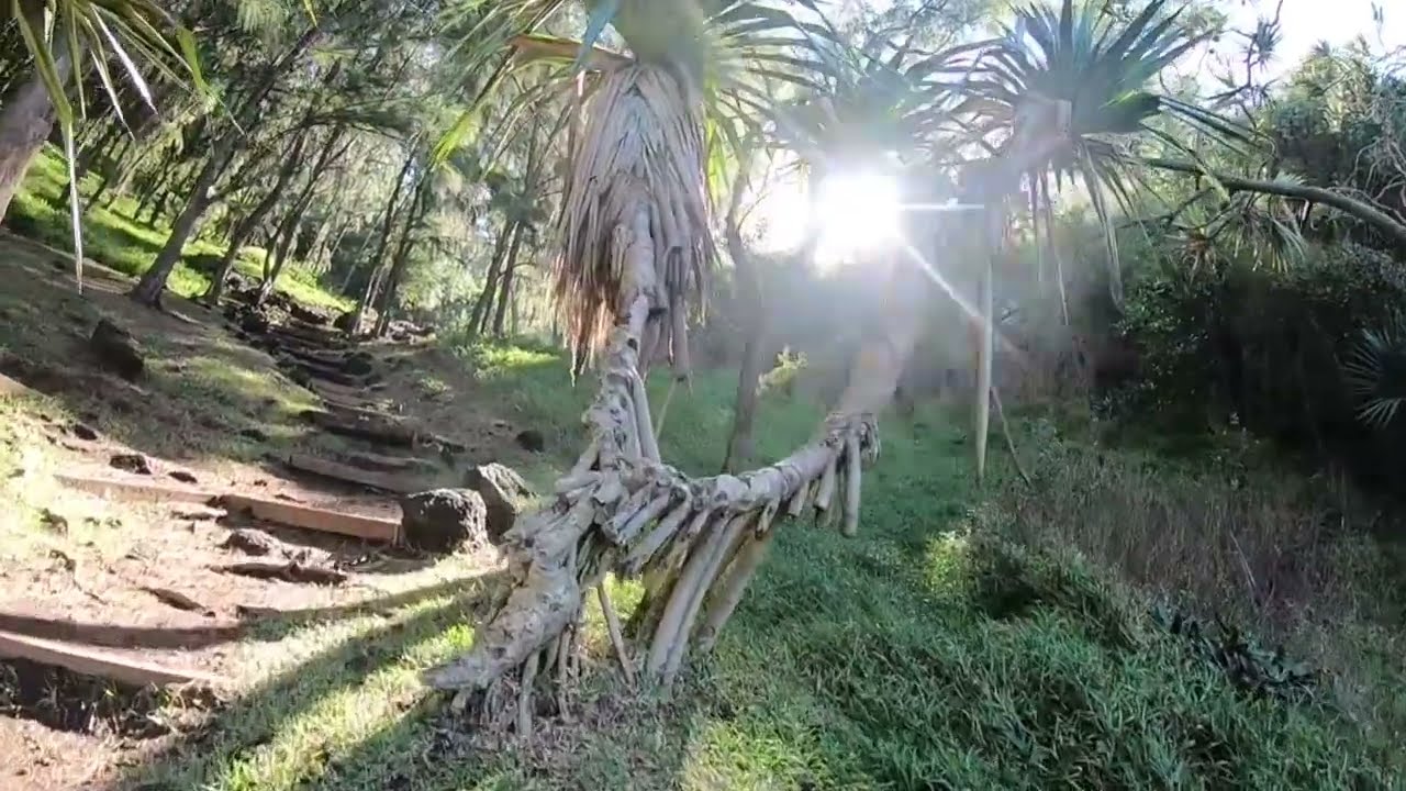 Partie 1 -  Montée vers le piton Raphaël Babet pour un parcours de santé .