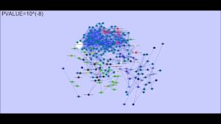 ROSE'S TARITS CORRELATION NETWORK CACLCULATED BY SPEARMAN PVALUES(FASTER VERSION)