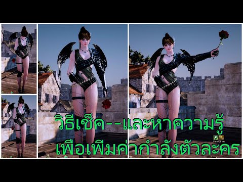 วิธีเช็ค--และหาความรู้--เพื่อเพิ่มค่ากำลังตัวละคร  BDO  Black desert online